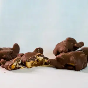 16oz. Cashew Patties